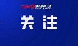 好奇心新闻广播爆料,好奇心新闻广播最新爆料，带你探秘事件背后真相